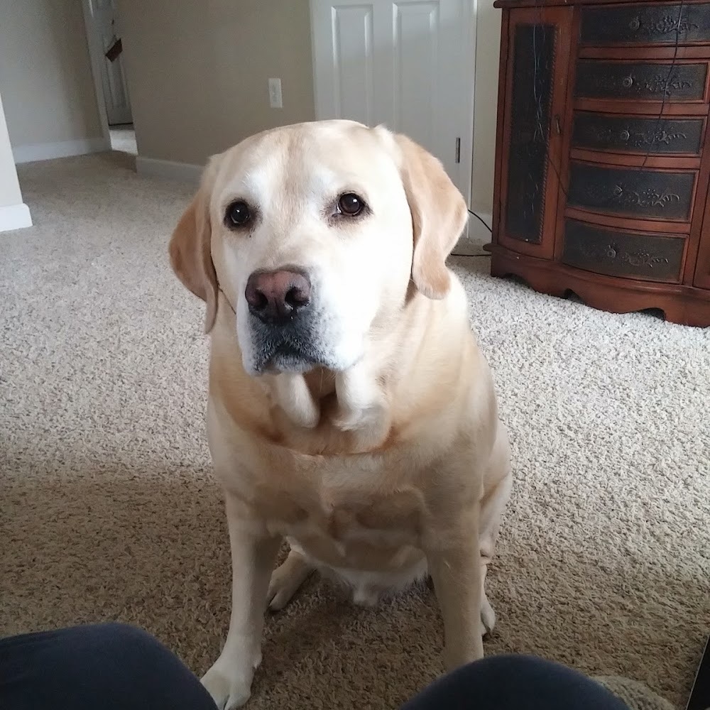 Meet your Posher, Kacie